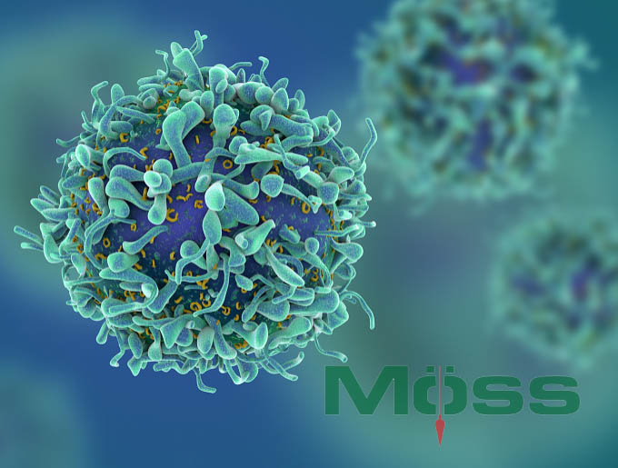 Tế bào T Cell đóng vai trò quan trọng trong hệ miễn dịch