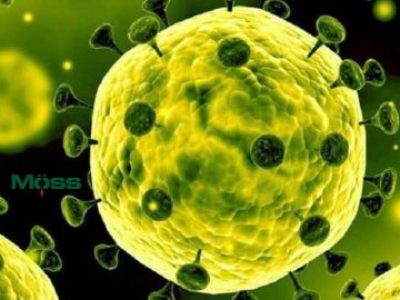 featured-tim-hieu-coronavirus-2019-techmoss