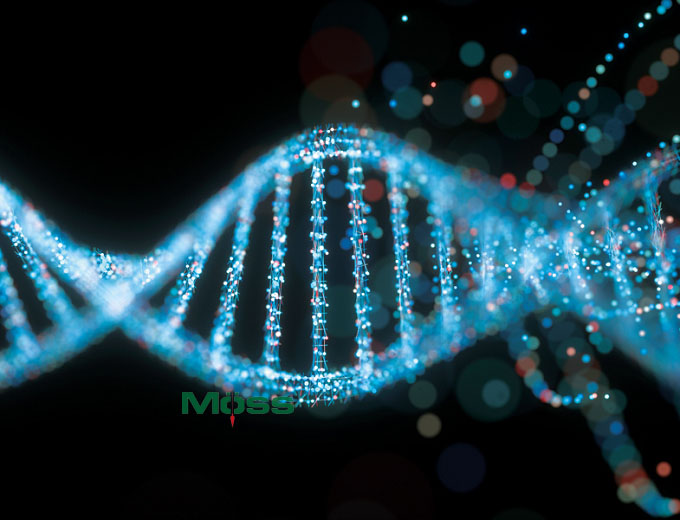 Các thuật toán thông minh hỗ trợ nghiên cứu về DNA