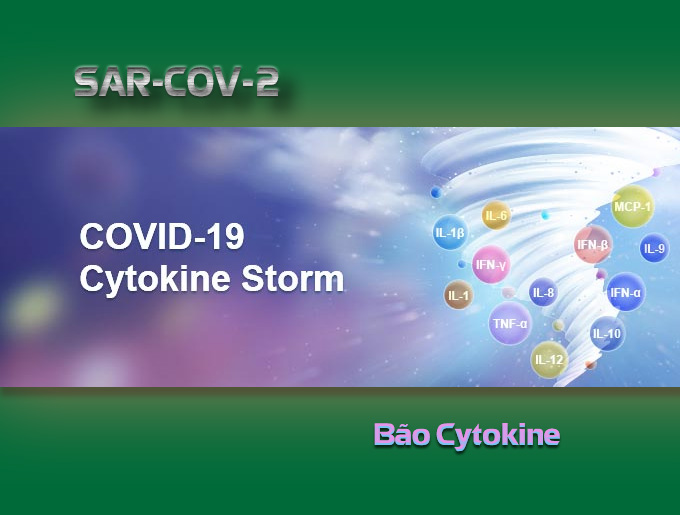 Người nhiễm COVID-19 có nguy cơ tử vong cao do bão Cytokine
